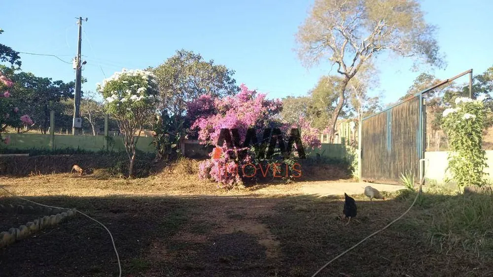 Fazenda, 116 hectares - Foto 4