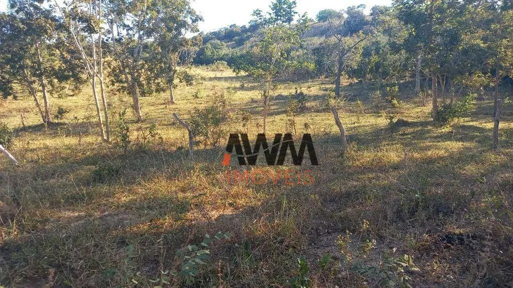 Fazenda, 116 hectares - Foto 9