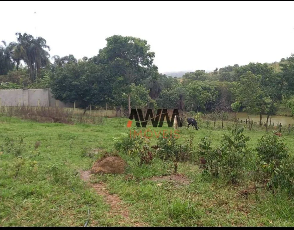 Fazenda, 116 hectares - Foto 5