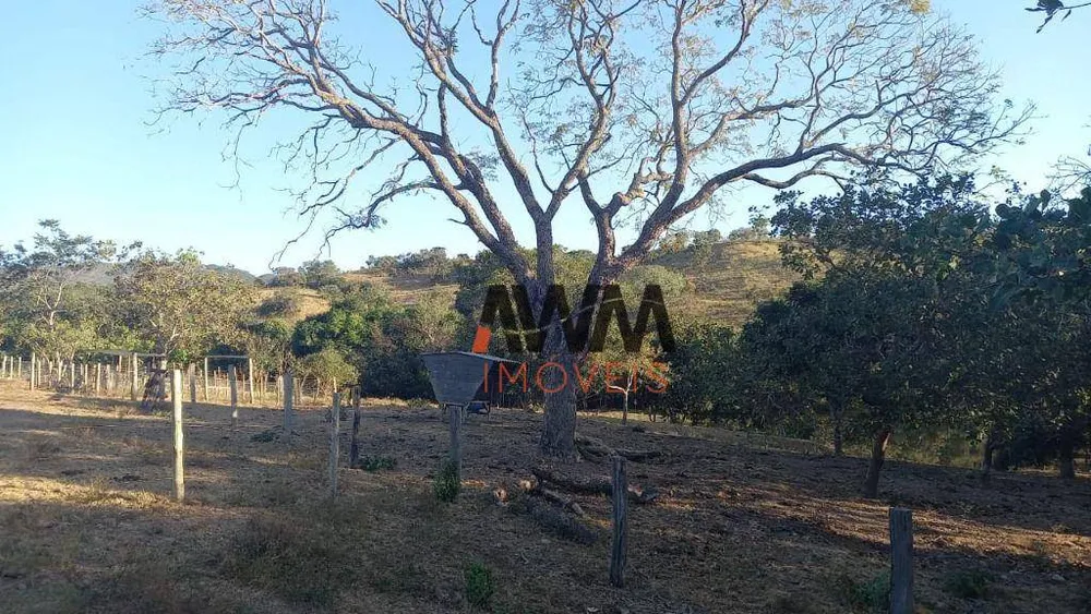 Fazenda, 116 hectares - Foto 12