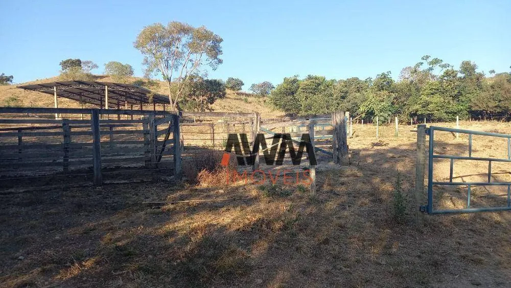 Fazenda, 116 hectares - Foto 3