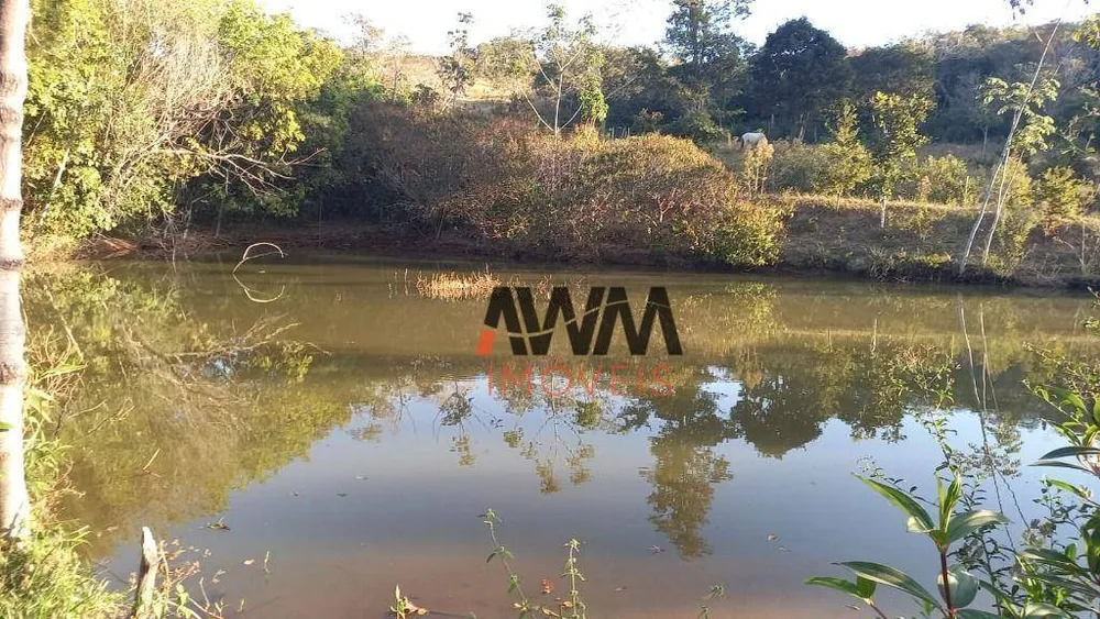 Fazenda, 116 hectares - Foto 6