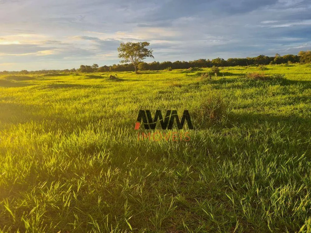 Fazenda, 523 hectares - Foto 7