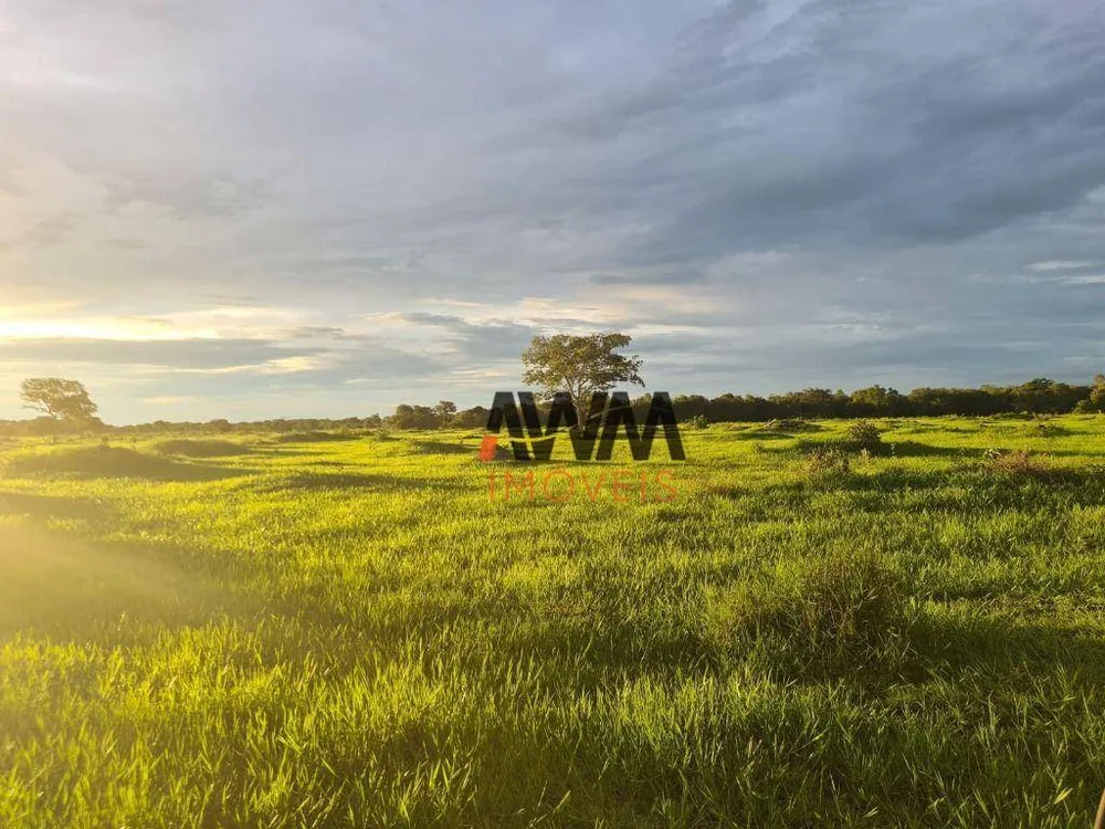 Fazenda, 523 hectares - Foto 4