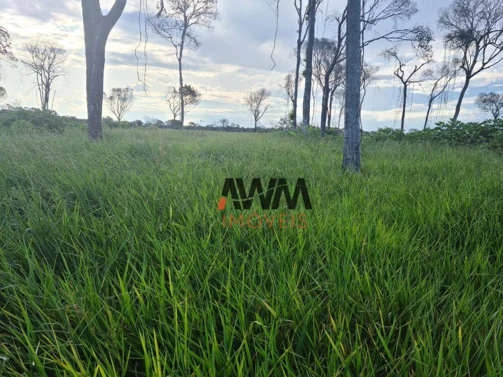 Fazenda, 523 hectares - Foto 6