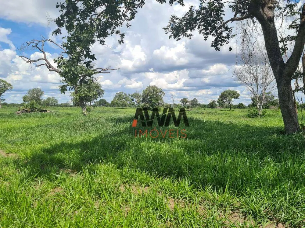 Fazenda, 523 hectares - Foto 5