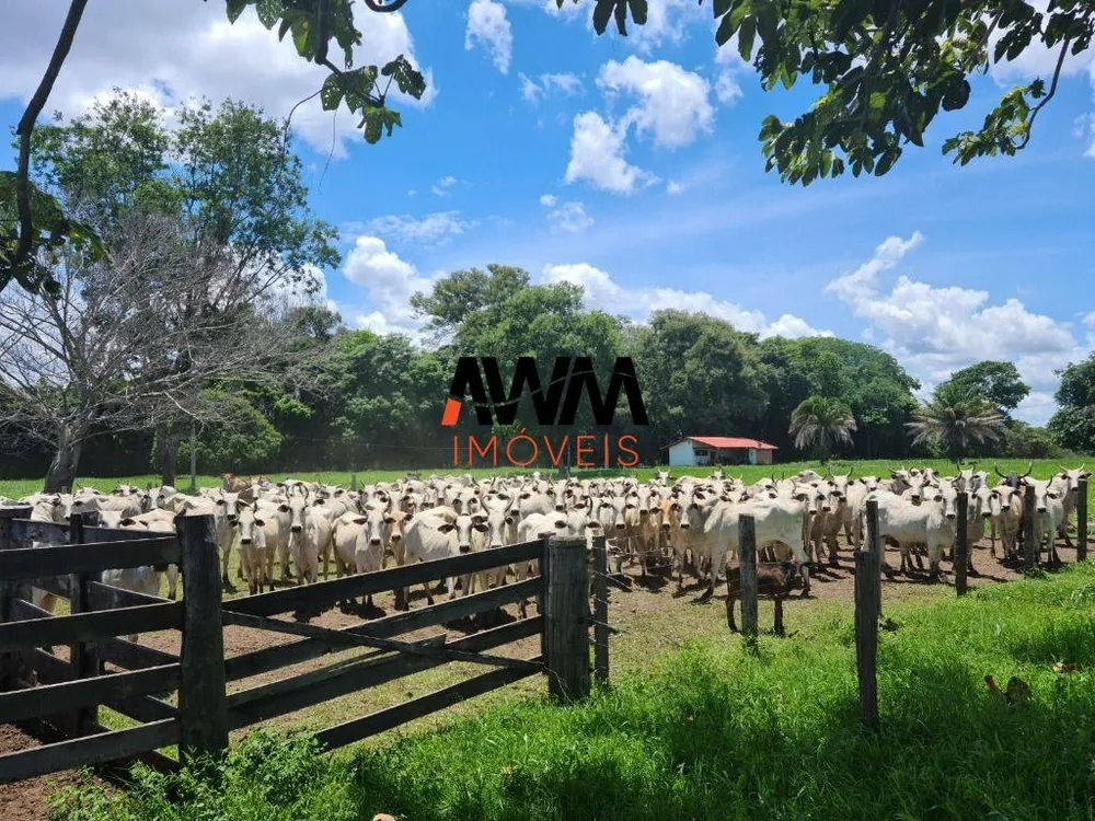 Fazenda, 523 hectares - Foto 1