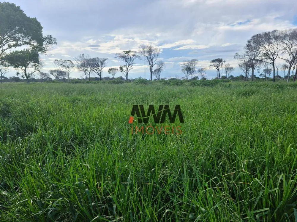 Fazenda, 523 hectares - Foto 12