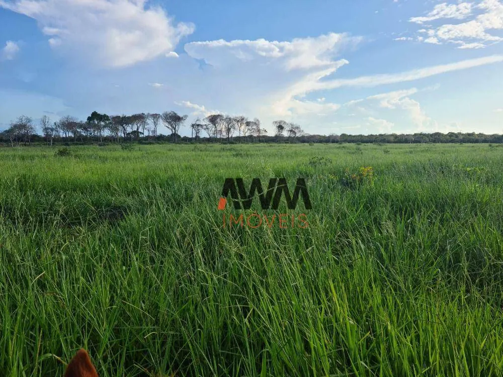 Fazenda, 523 hectares - Foto 10