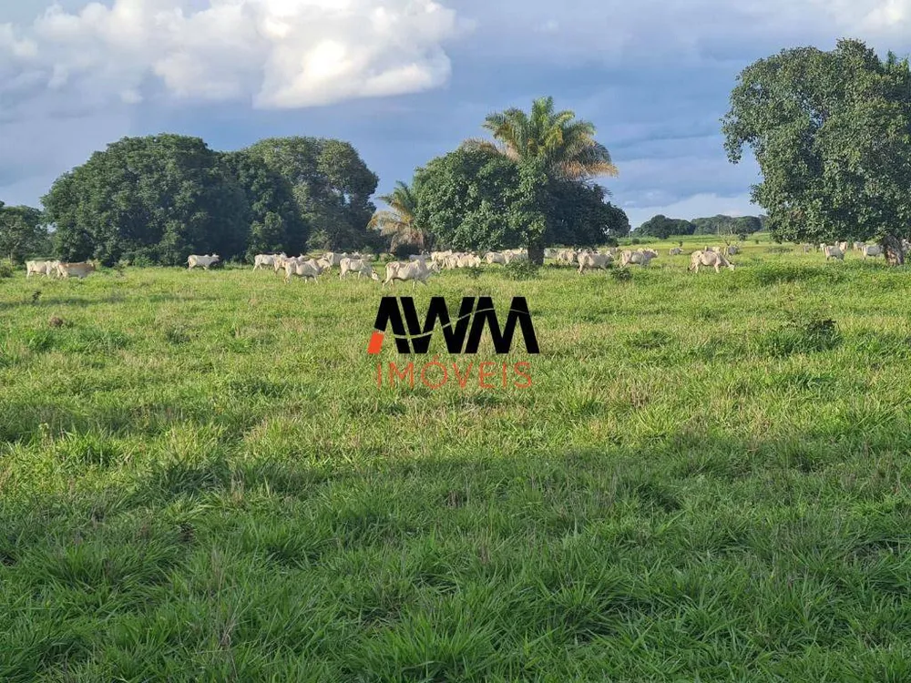 Fazenda, 523 hectares - Foto 11