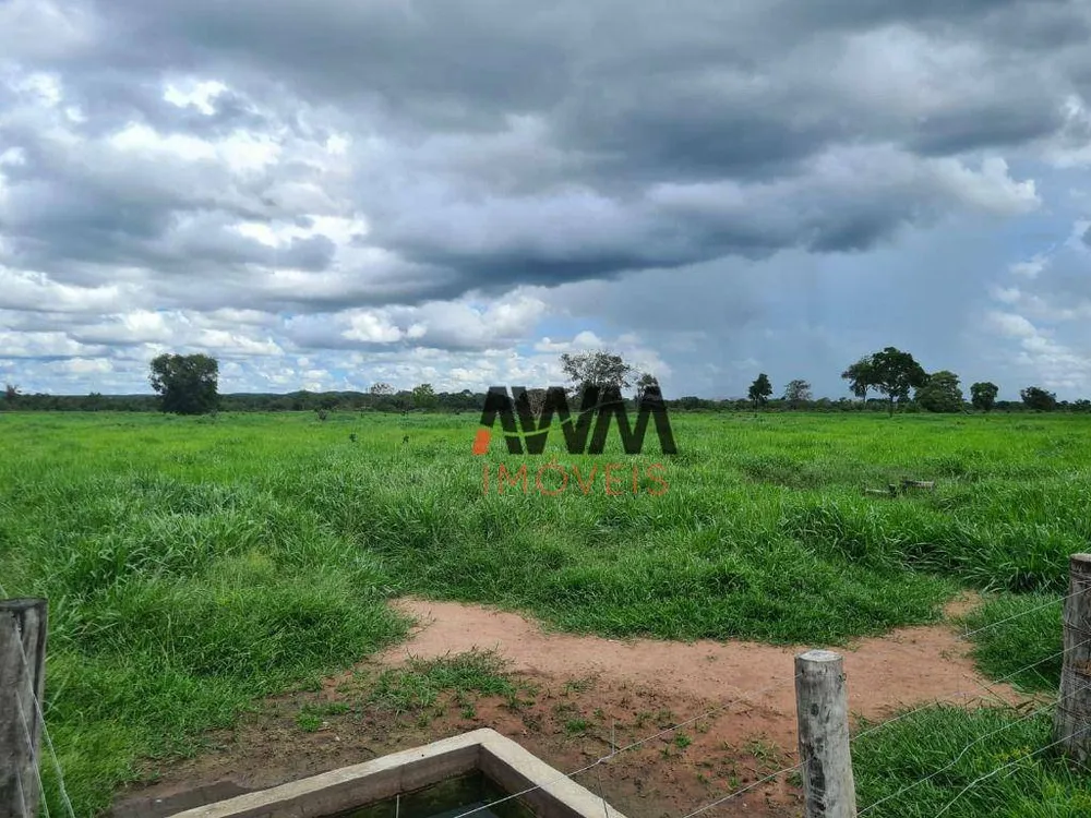 Fazenda, 523 hectares - Foto 9