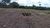Fazenda, 42 hectares - Foto 2