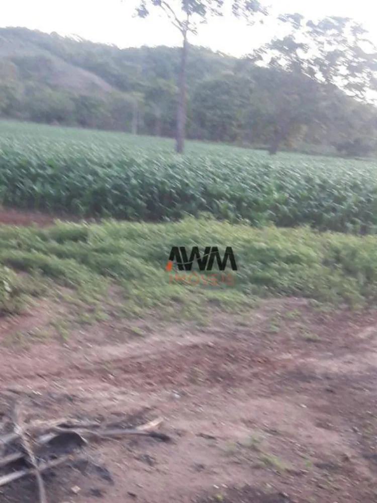 Fazenda, 114 hectares - Foto 8