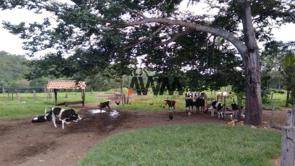 Fazenda, 114 hectares - Foto 3