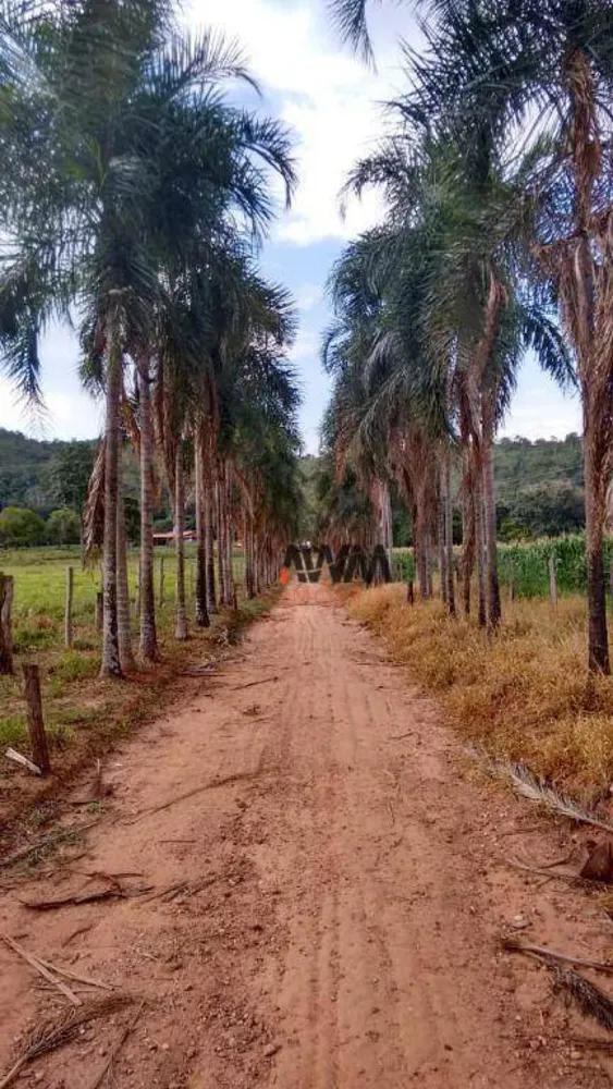Fazenda, 114 hectares - Foto 1