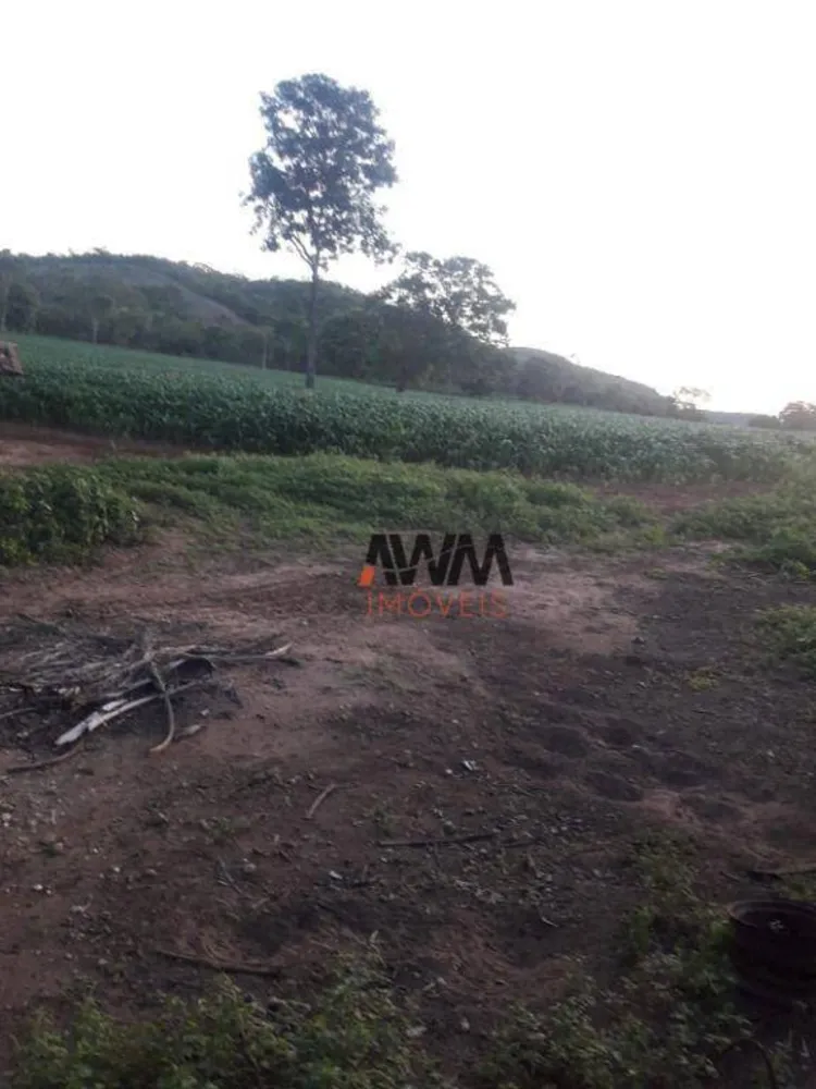 Fazenda, 114 hectares - Foto 11