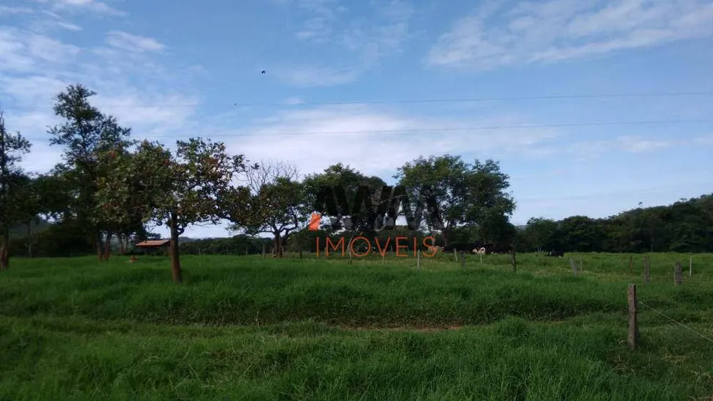 Fazenda, 114 hectares - Foto 4