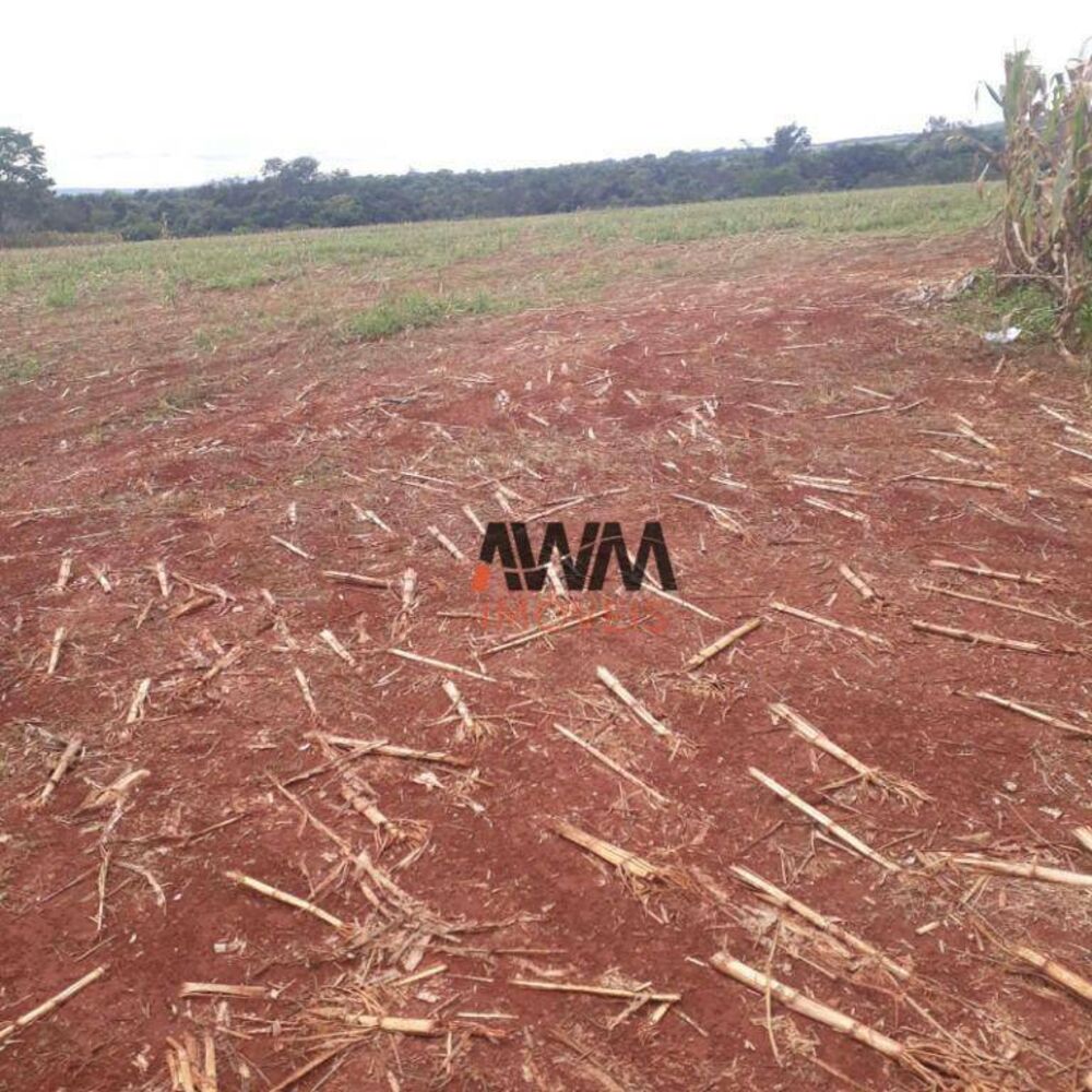 Fazenda à venda, 1380000M2 - Foto 4
