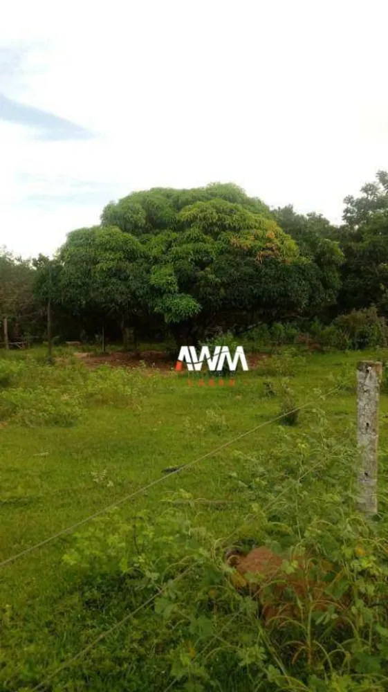 Fazenda, 600 hectares - Foto 9