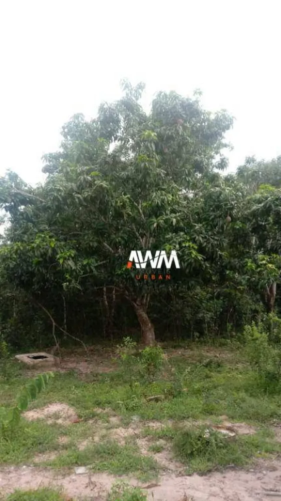Fazenda, 600 hectares - Foto 7