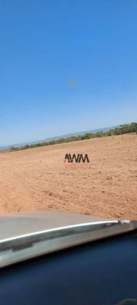 Fazenda, 7430 hectares - Foto 10
