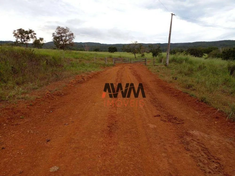 Fazenda, 7430 hectares - Foto 4