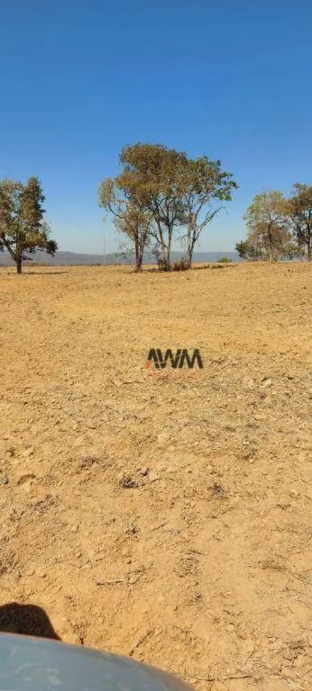 Fazenda, 7430 hectares - Foto 6