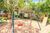Apartamento, 3 quartos, 63 m² - Foto 2