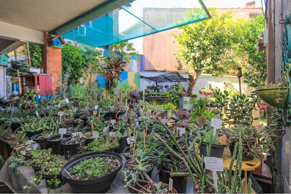Casa à venda com 5 quartos, 254m² - Foto 8