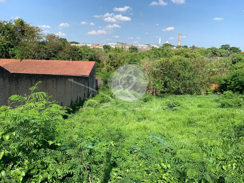 Loteamento e Condomínio à venda, 1000m² - Foto 3