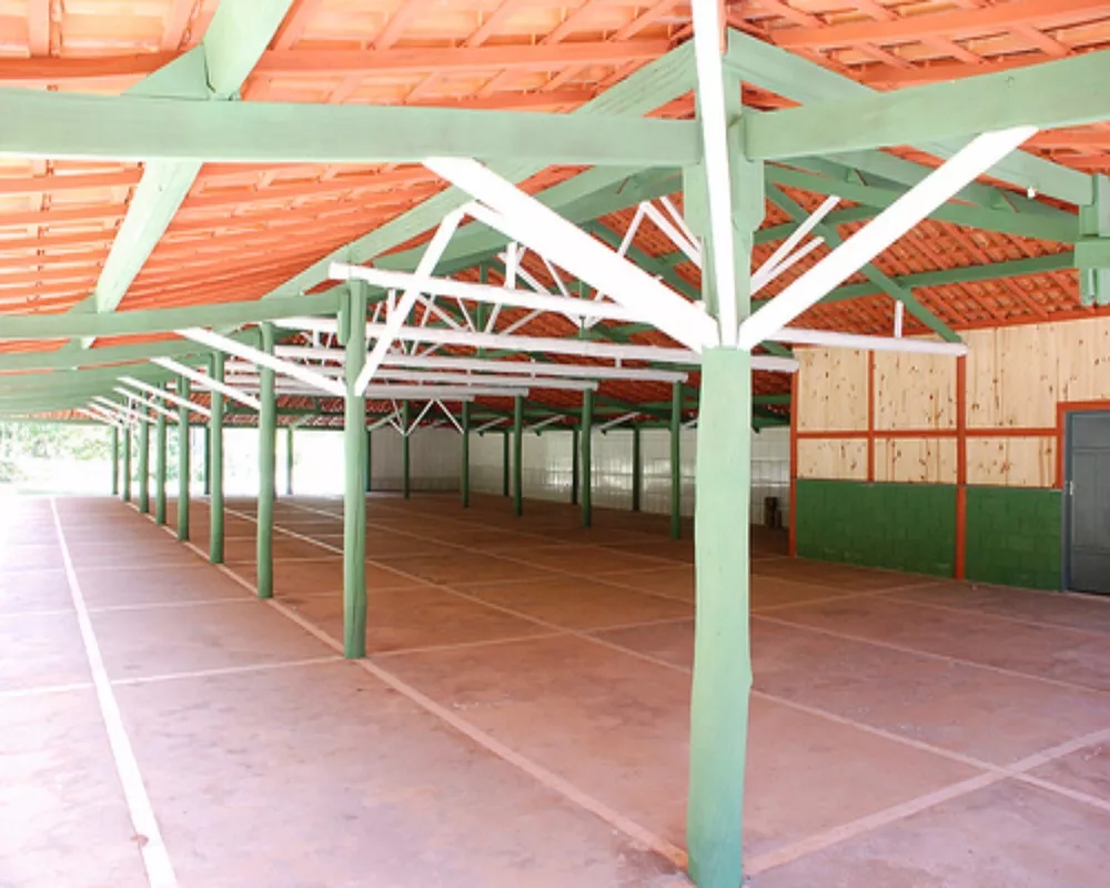 Sítio, 6 quartos, 6 hectares - Foto 24