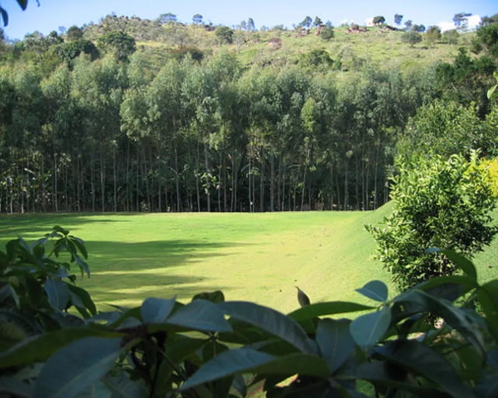 Sítio, 6 quartos, 6 hectares - Foto 28