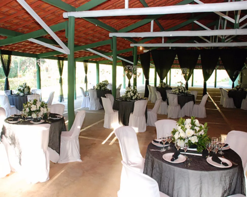 Sítio, 6 quartos, 6 hectares - Foto 21