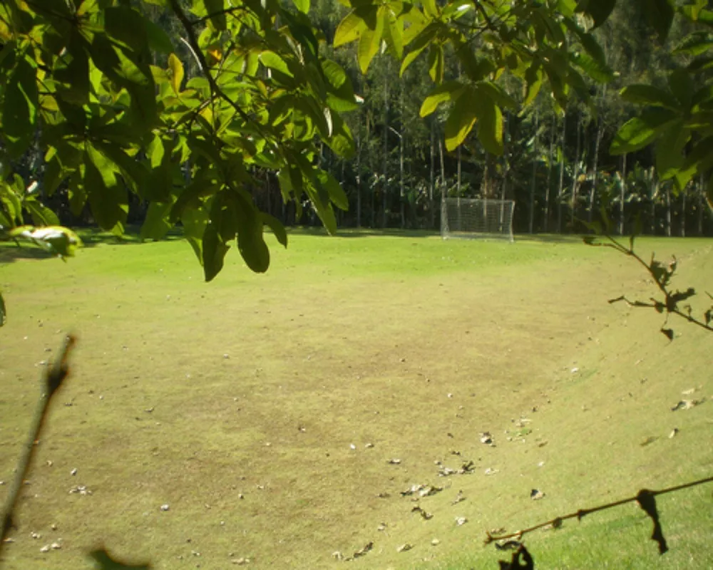 Sítio, 6 quartos, 6 hectares - Foto 4