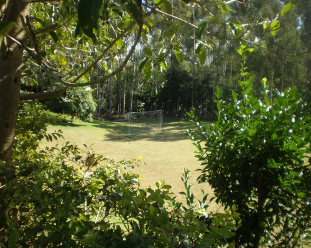 Sítio, 6 quartos, 6 hectares - Foto 9