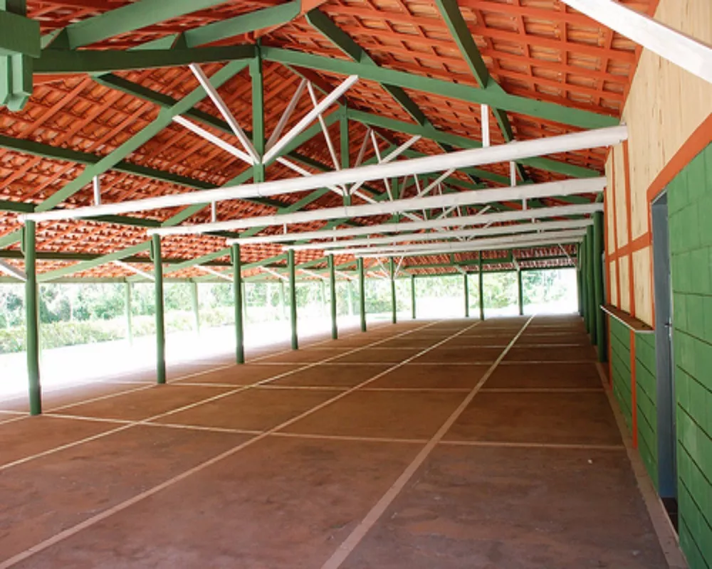 Sítio, 6 quartos, 6 hectares - Foto 23