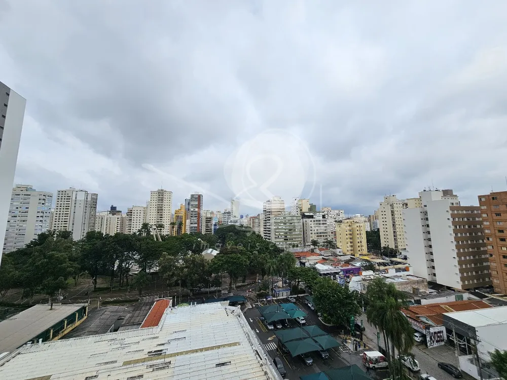 Cobertura, 4 quartos, 329 m² - Foto 6