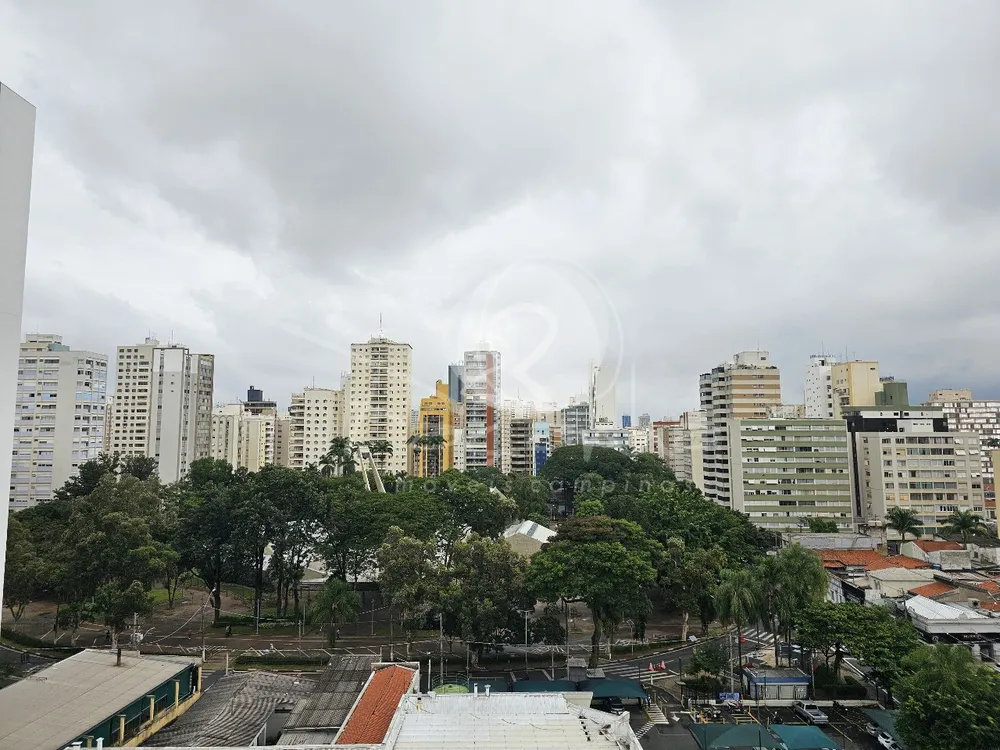 Cobertura, 4 quartos, 329 m² - Foto 3