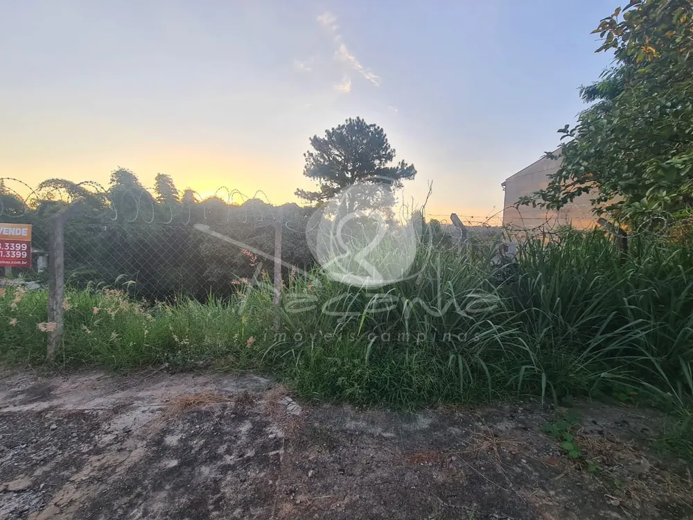 Terreno, 319 m² - Foto 10