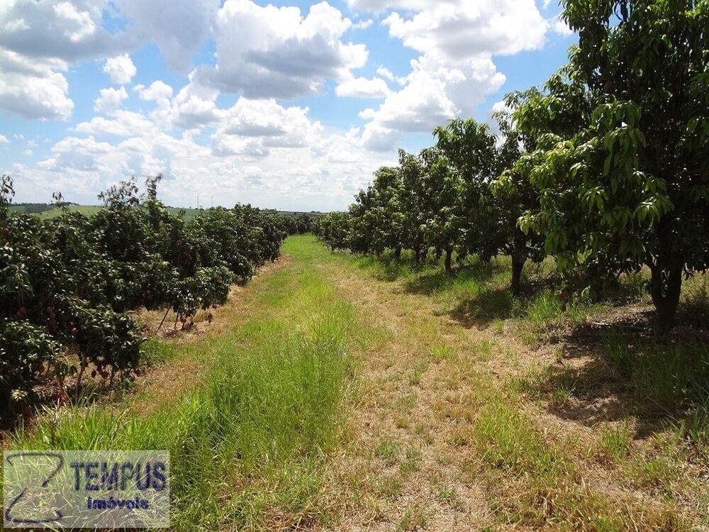 Sítio, 8 m² - Foto 8