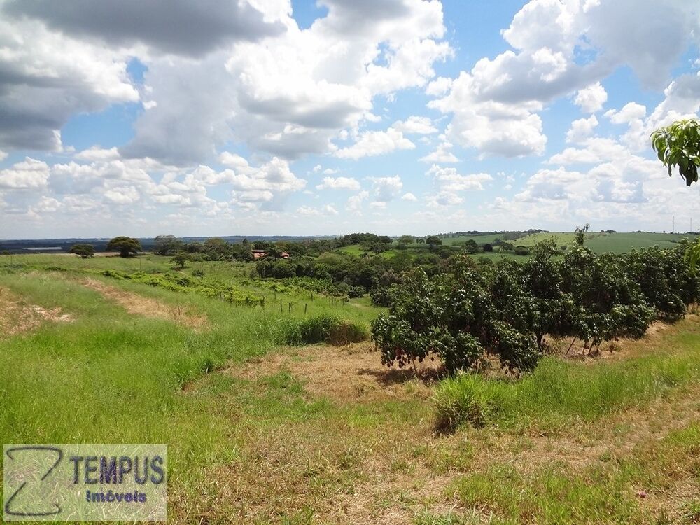 Sítio, 8 m² - Foto 7