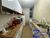 Apartamento, 3 quartos, 76 m² - Foto 3