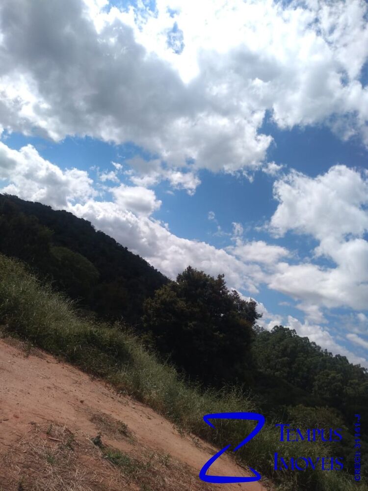Chácara, 3 quartos, 4 hectares - Foto 4