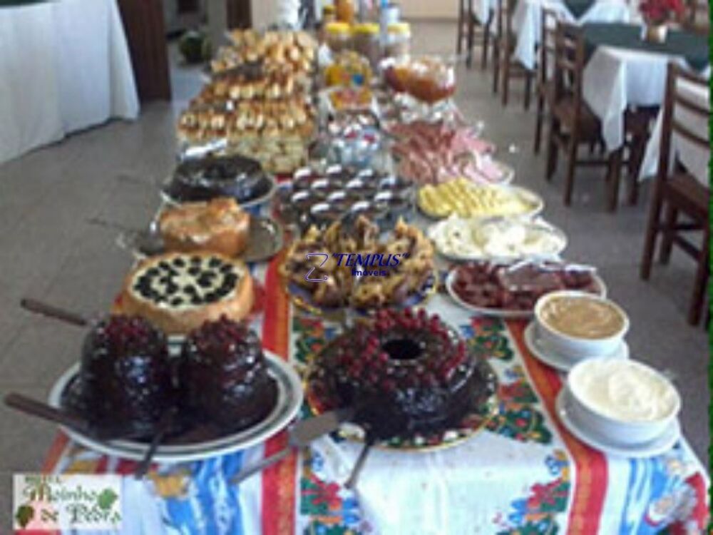 Fazenda à venda - Foto 4