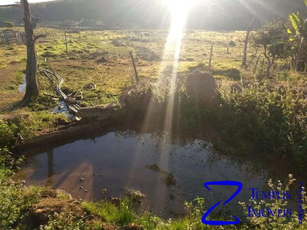Fazenda, 3 quartos - Foto 5
