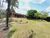 Casa, 3 quartos, 1165 m² - Foto 1