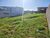 Terreno, 800 m² - Foto 4