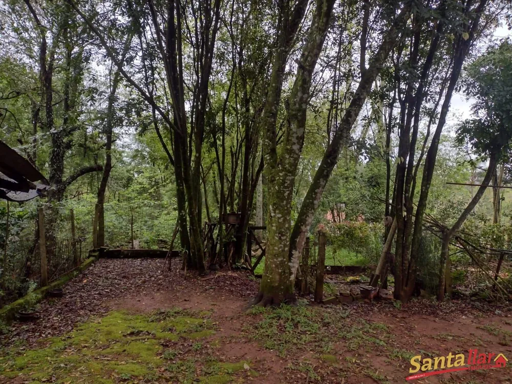 Chácara, 3 quartos, 4950 m² - Foto 10