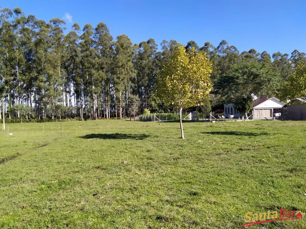 Chácara, 3 quartos, 13 hectares - Foto 16