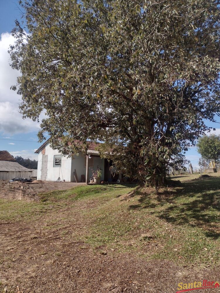 Chácara, 2 quartos, 1 hectares - Foto 1